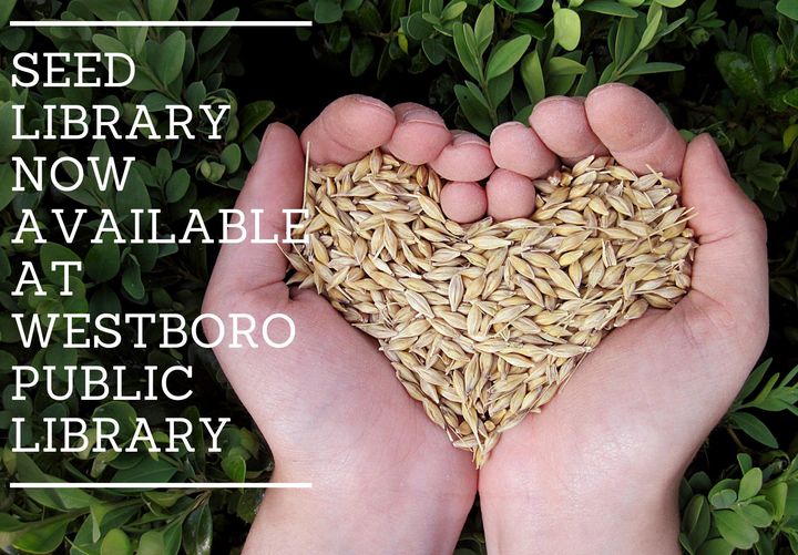 Explore your Seed Library!